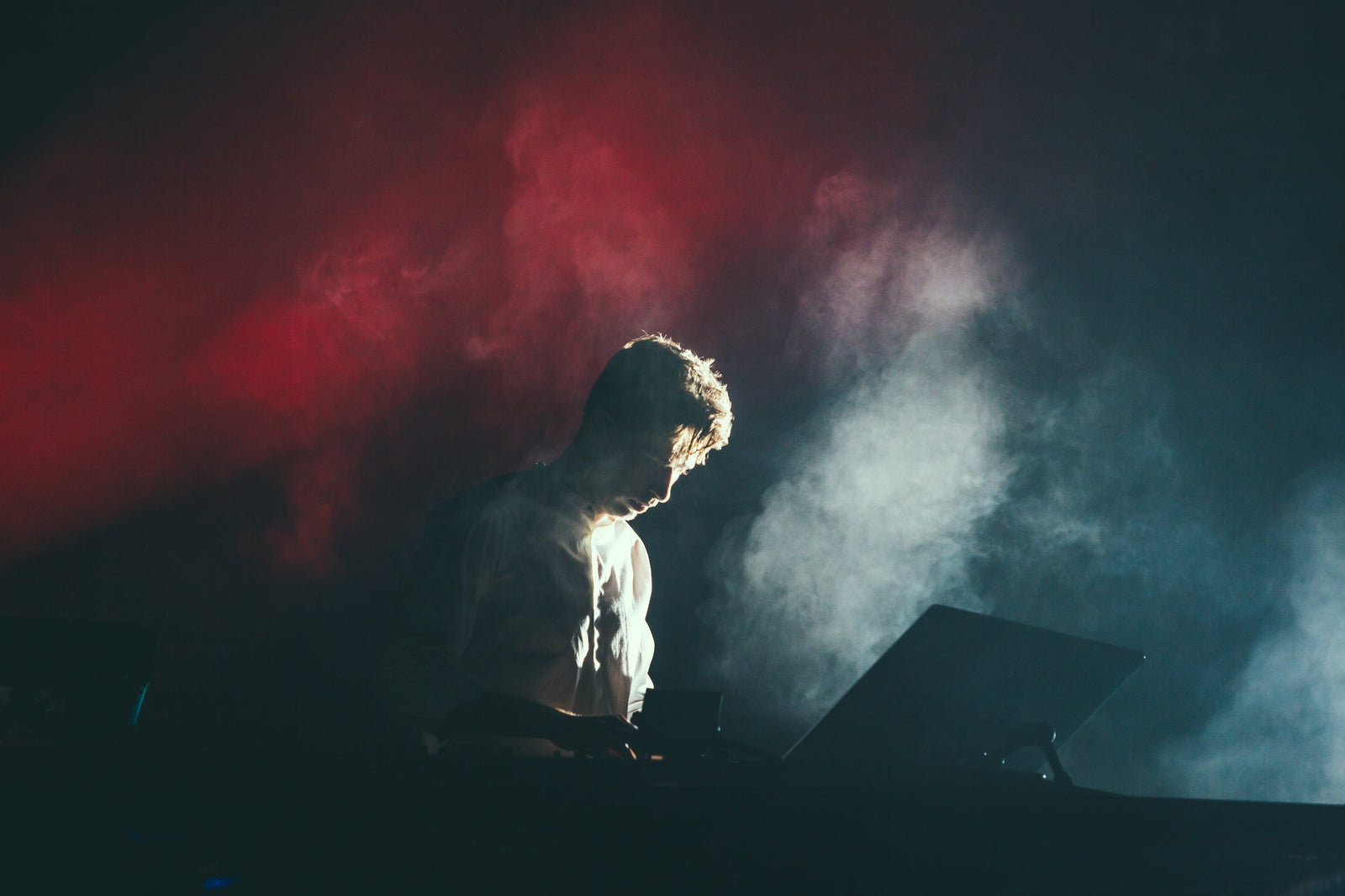Artist with tinnitus