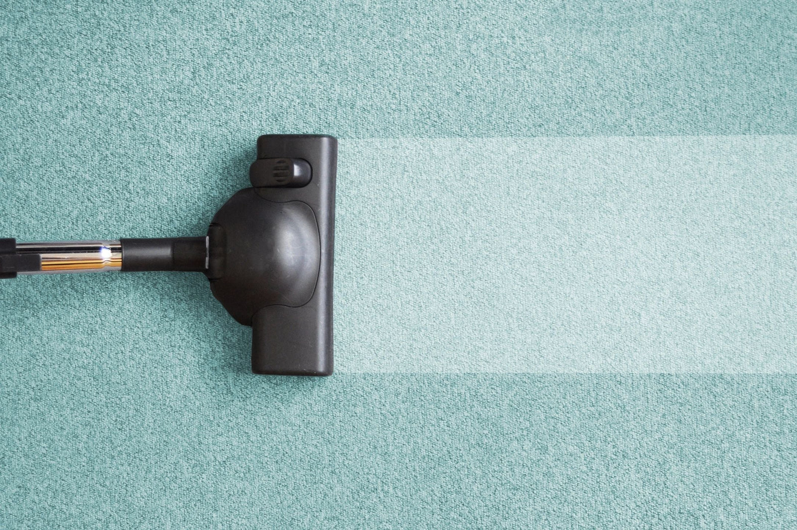 annoying sounds of a vacuum cleaner